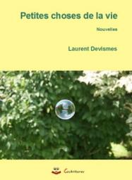 petites choses de la vie, laurent devismes, nouvelles, editions cockritures